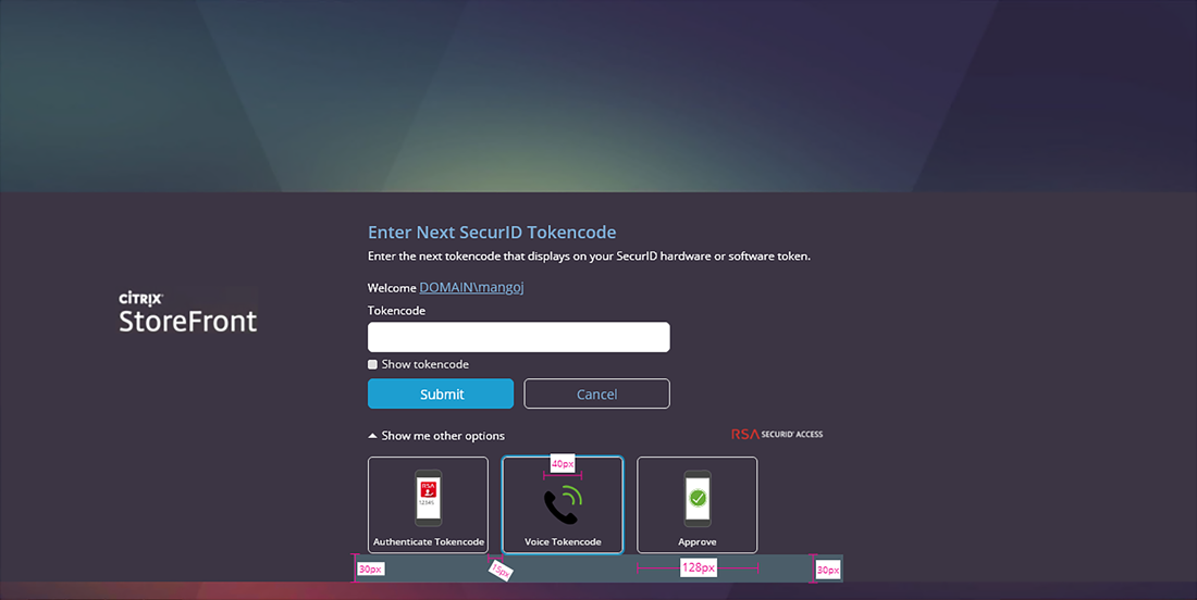 Citrix StoreFront Log In